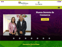 Tablet Screenshot of plazaminorista.com